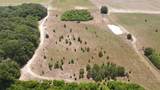25.10 Acres - Society Hill Rd - Photo 10