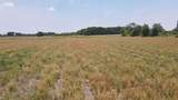 25.10 Acres - Society Hill Rd - Photo 12