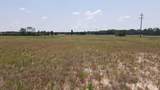 25.10 Acres - Society Hill Rd - Photo 13