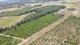 25.10 Acres - Society Hill Rd - Photo 8