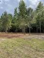 TBD Bethel Chapel Rd. - Photo 4