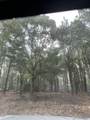 TBD Allen Dew Rd. - Photo 1