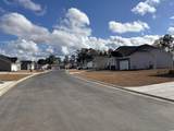 329 Palmetto Sand Loop - Photo 3