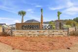 534 Cypress Preserve Circle - Photo 41