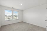 997 Lauryn Oak Loop - Photo 18