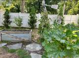 1137 Palmetto St. - Photo 35