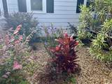 1137 Palmetto St. - Photo 37