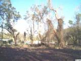 TBD Highway 707 - Photo 10
