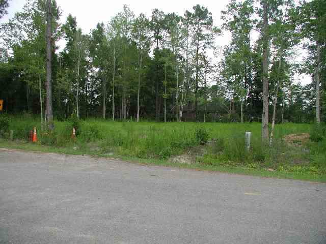 60 Dogwood Rd. - Photo 1