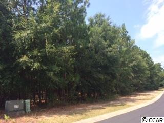 lot 63 Preservation Circle - Photo 1