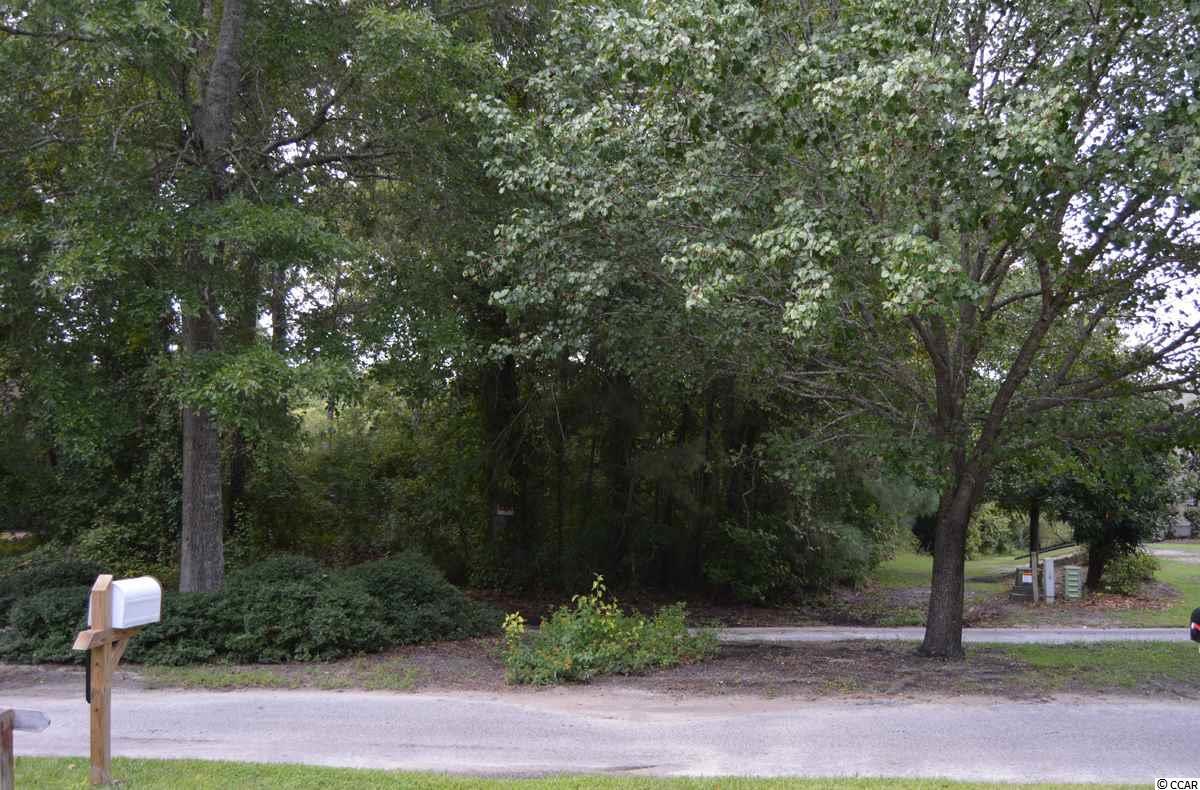 4056 Forest Lake Dr. Sw - Photo 1