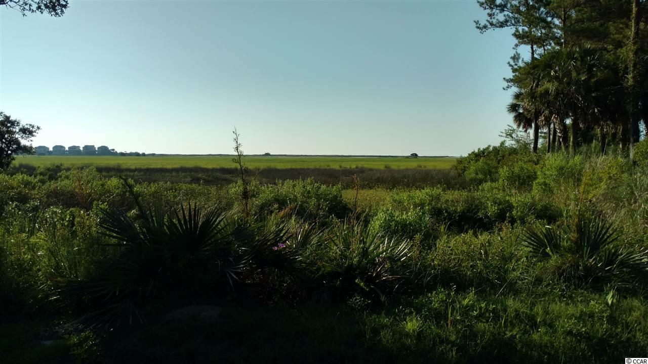 108 Brown Pelican Loop - Photo 1