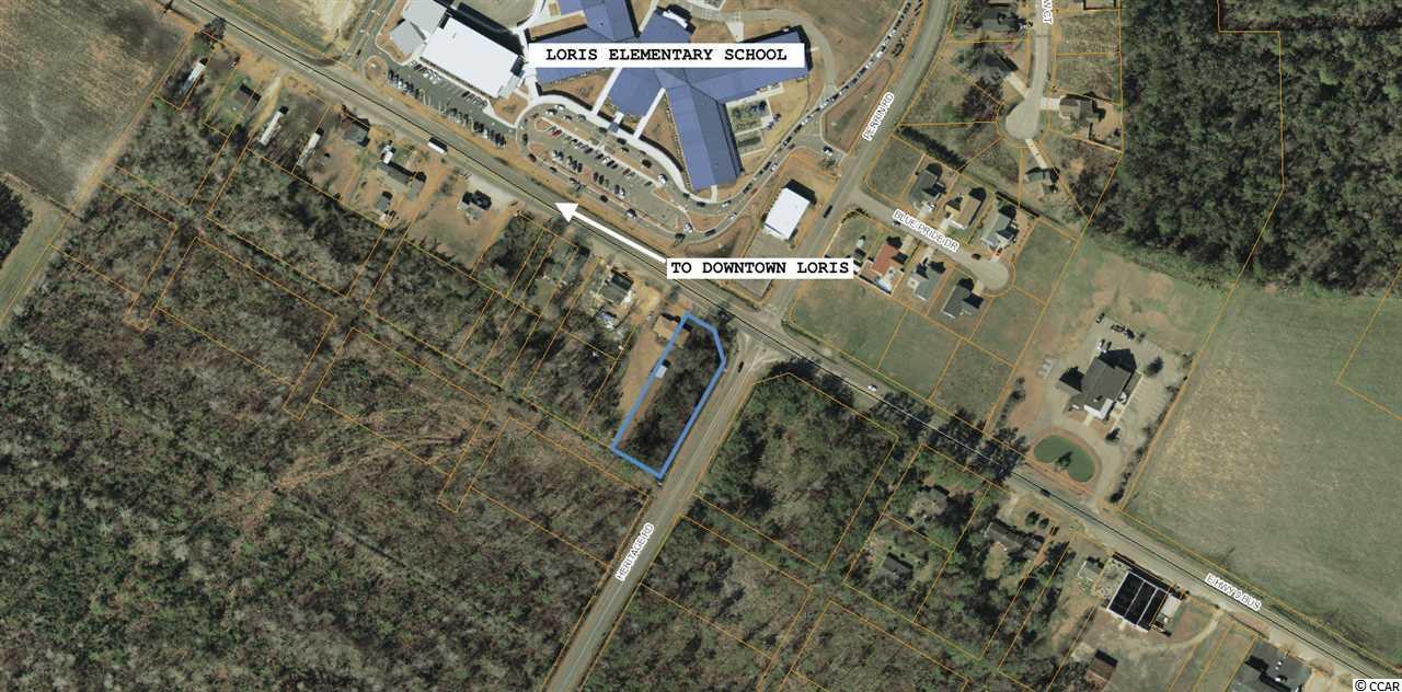 0.67AC Hwy 9 Business - Photo 1