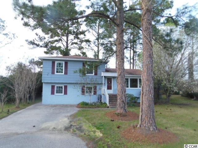 3920 Heron Circle, Myrtle Beach, SC 29579 (MLS #1705150) :: The Litchfield Company