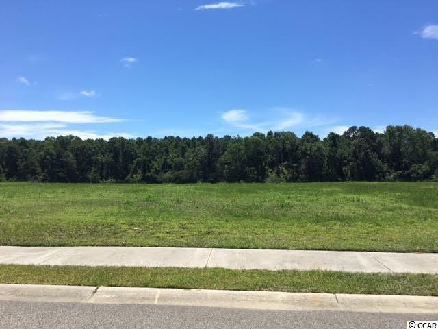 333 Harbor View Dr. - Photo 1