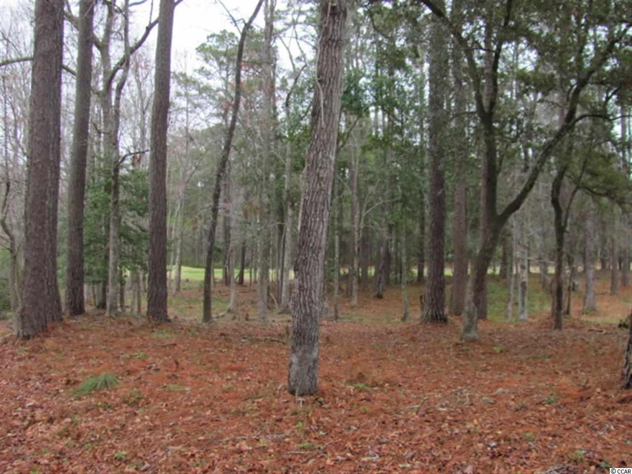 131 Capt Anthony White Ln. - Photo 1