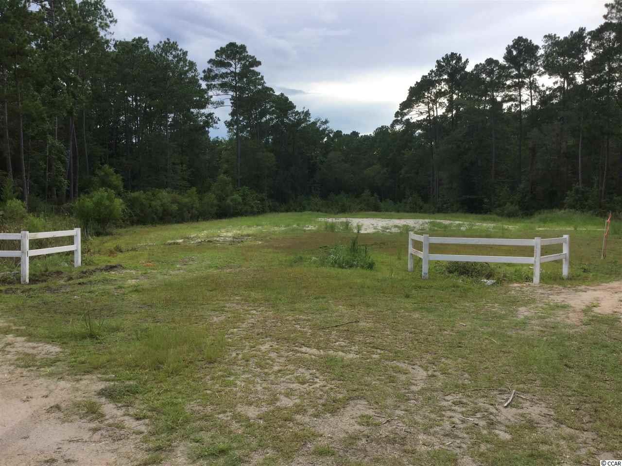 428 Beargrass Rd. - Photo 1