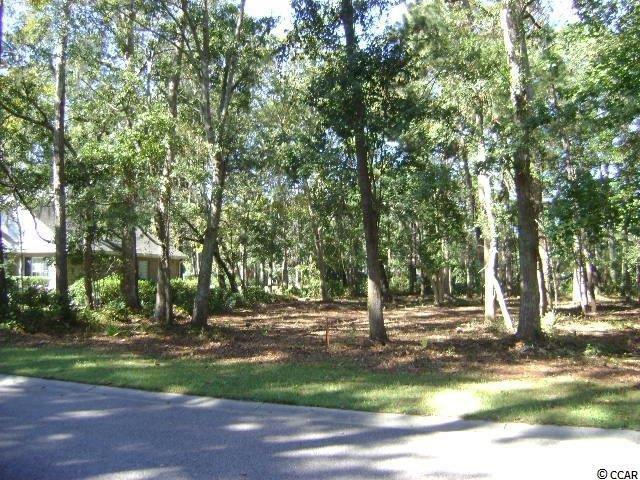 Lot 47 Green Wing Teal Ln. - Photo 1