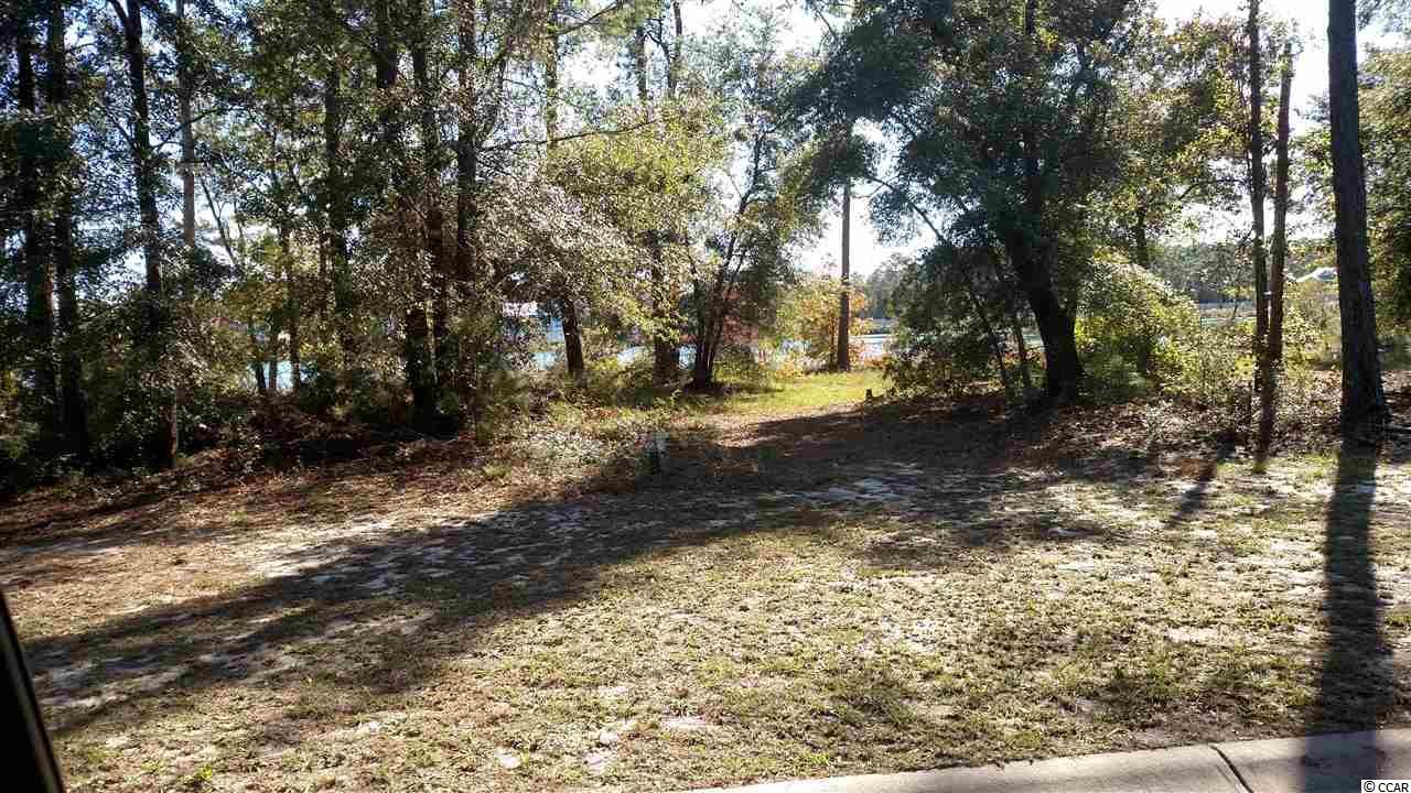 LOT #2 Deep Lake Dr. - Photo 1