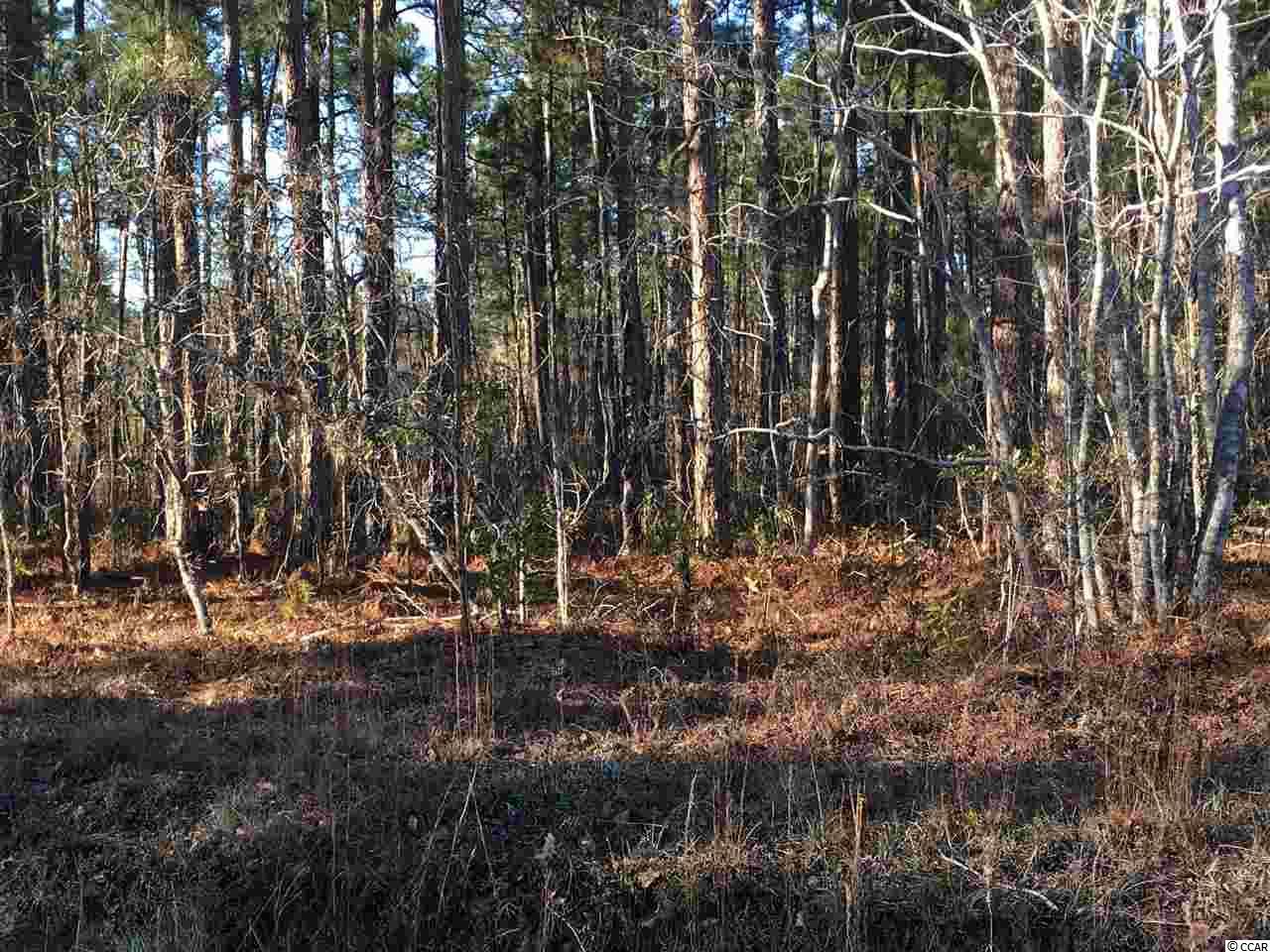 TBD Willard Rd. - Photo 1 TBD Willard Rd. - Photo 1