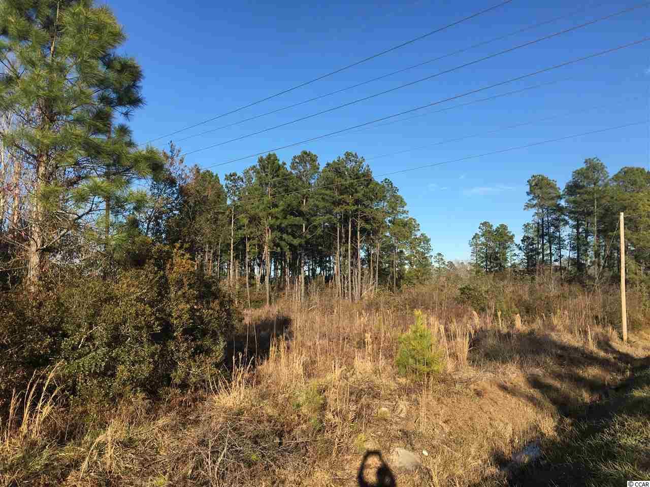 TBD Mount Pisgah Cemetary Rd. - Photo 1