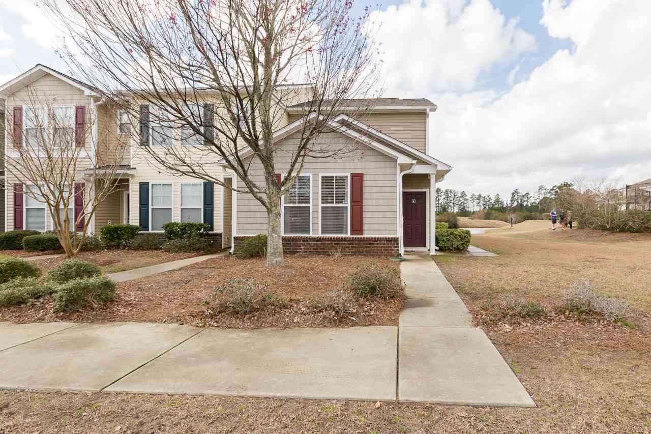 316 Kiskadee Loop - Photo 1