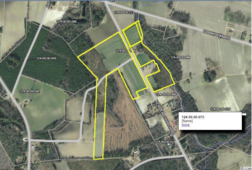 TBD Kemper Church Rd. - Photo 1