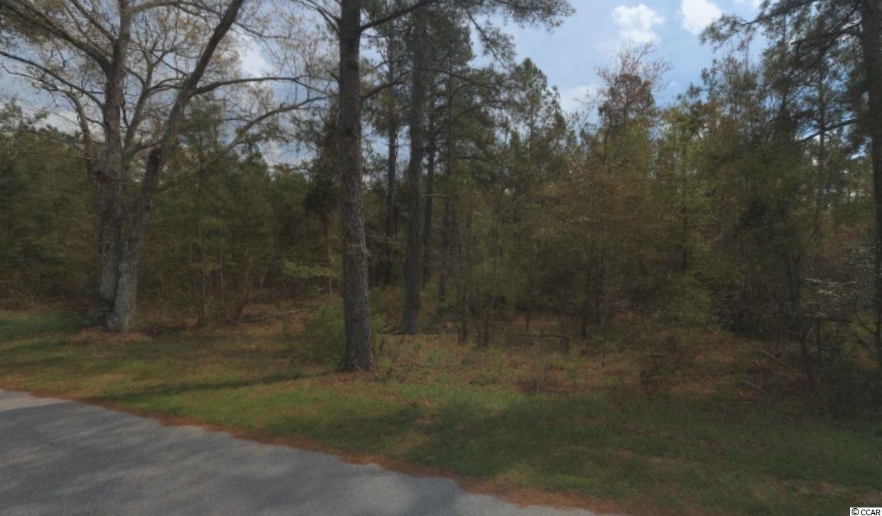 TBD Temple Dr. - Photo 1