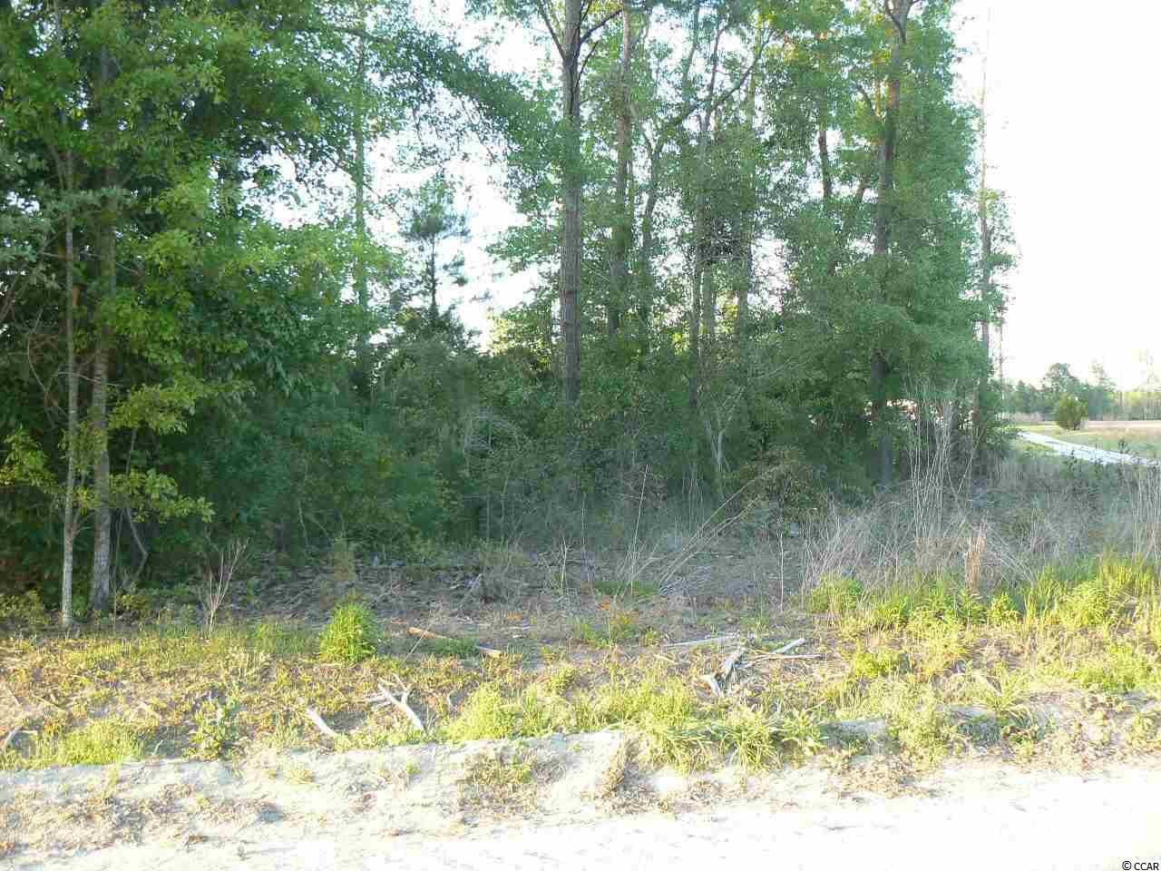 TBD Methodist Rehobeth Rd. - Photo 1
