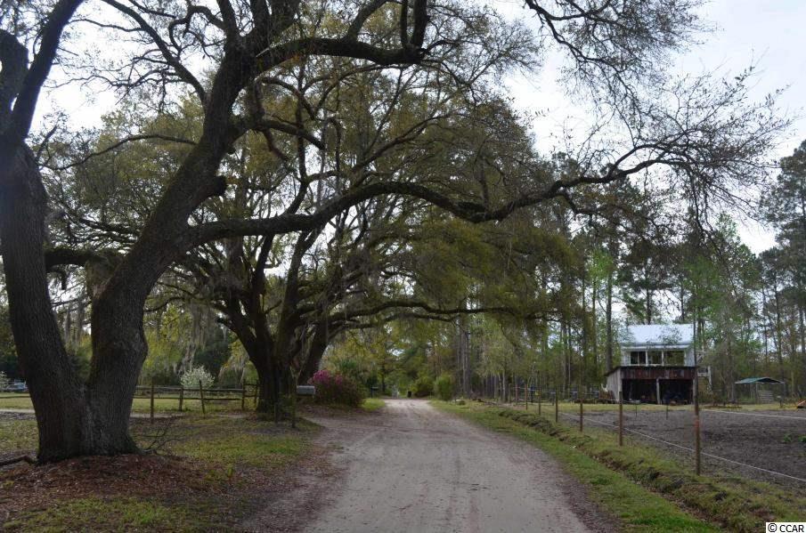 812 Old Cemetary Rd. - Photo 1