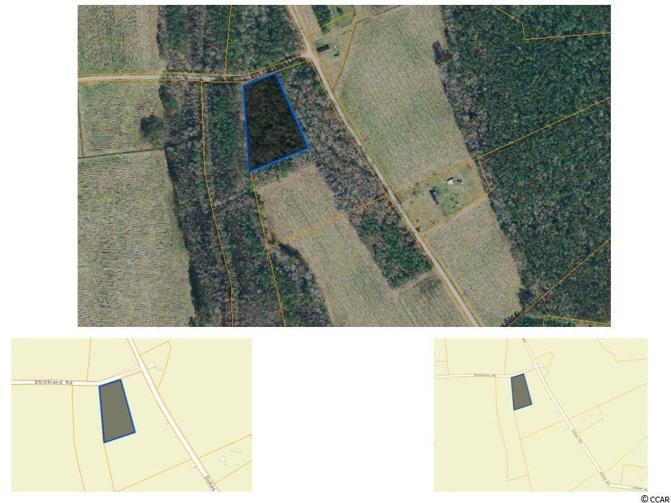 Lot 3 Strickland Rd. - Photo 1