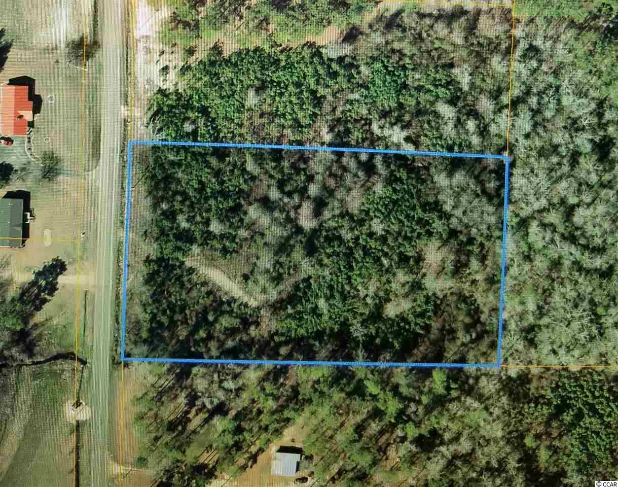 TBD Highway 19 - Photo 1