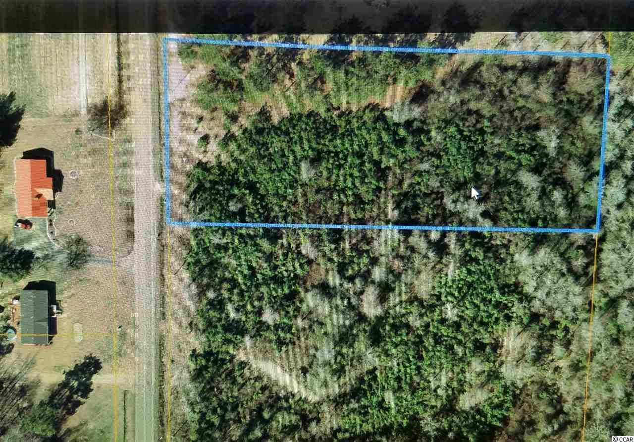TBD Highway 19 - Photo 1