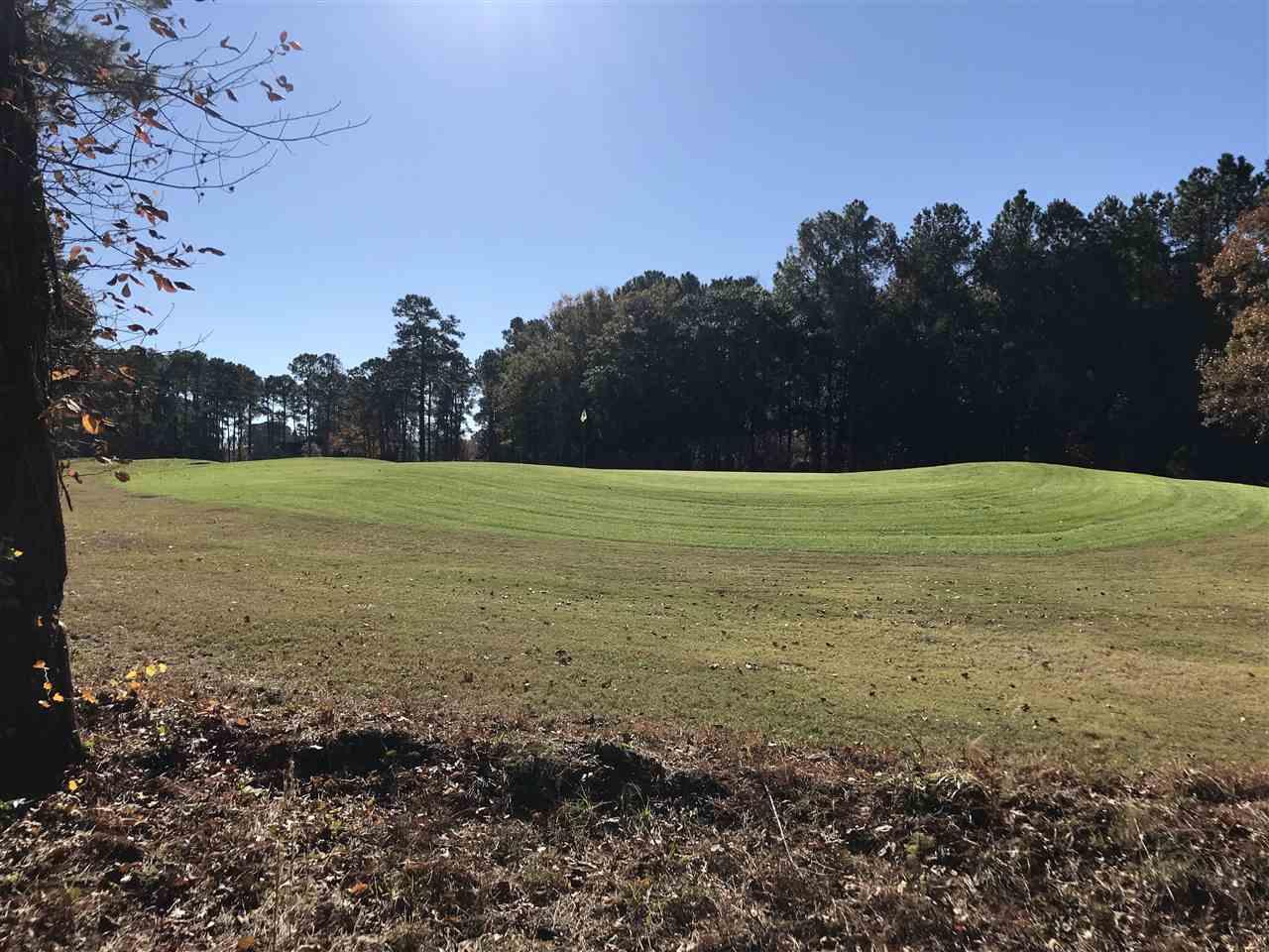 2941 Cedar Creek Run - Photo 1