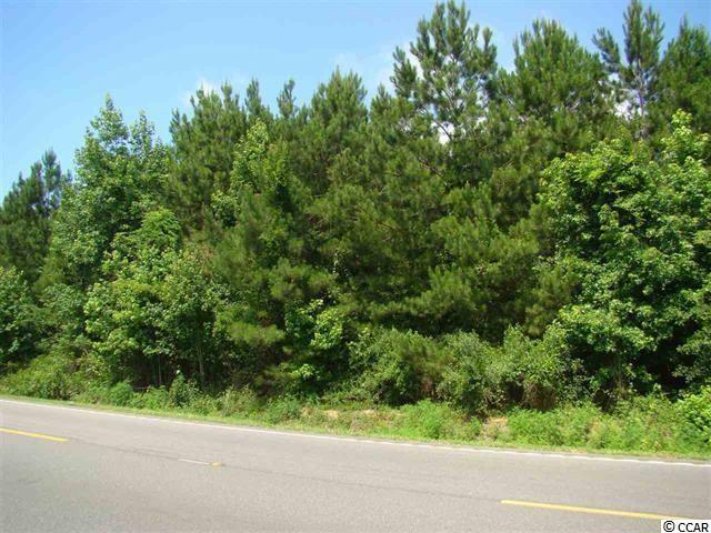 TBD Highway 701 South - Photo 1