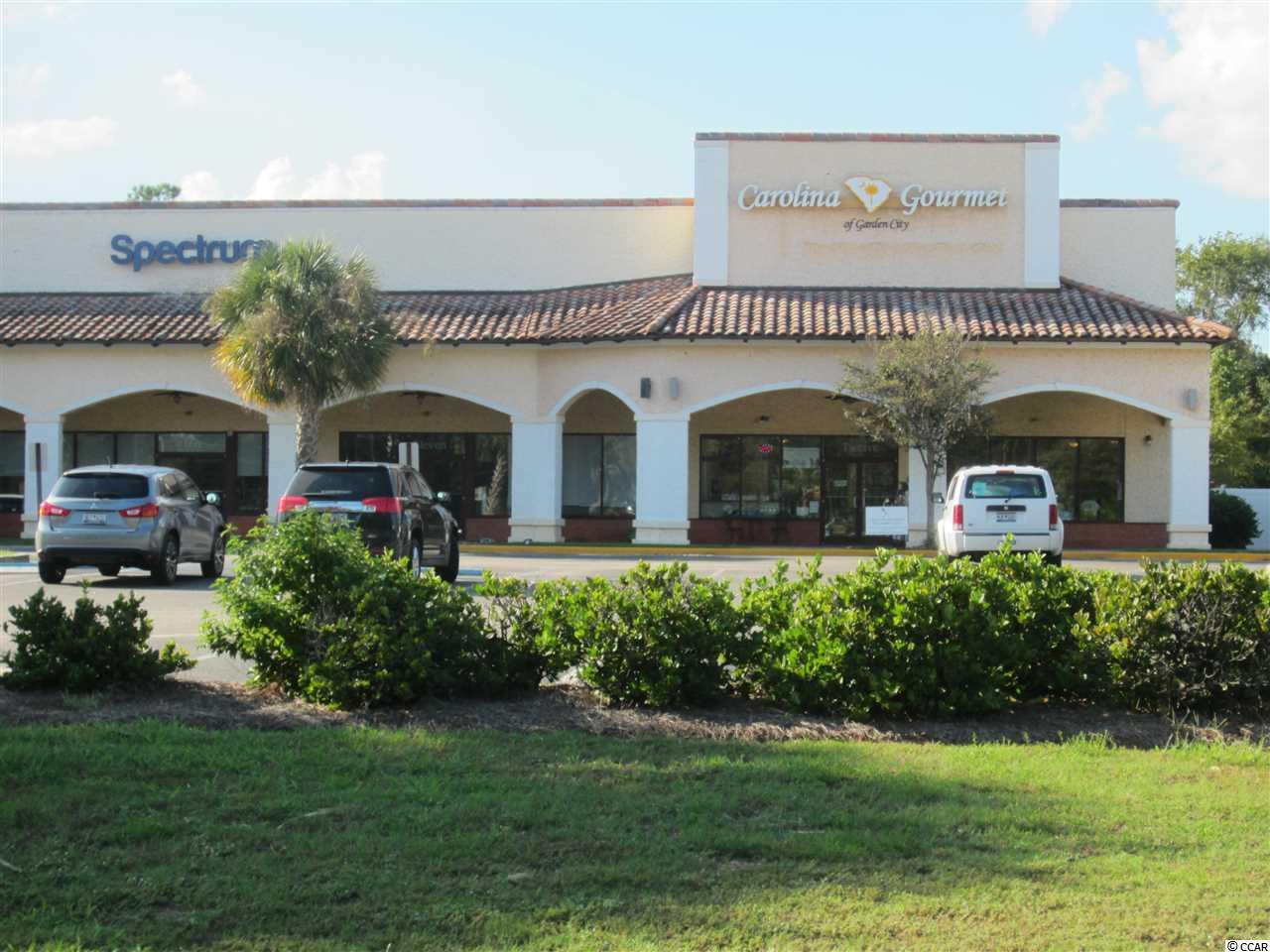 2520 Highway 17 Business - Photo 1