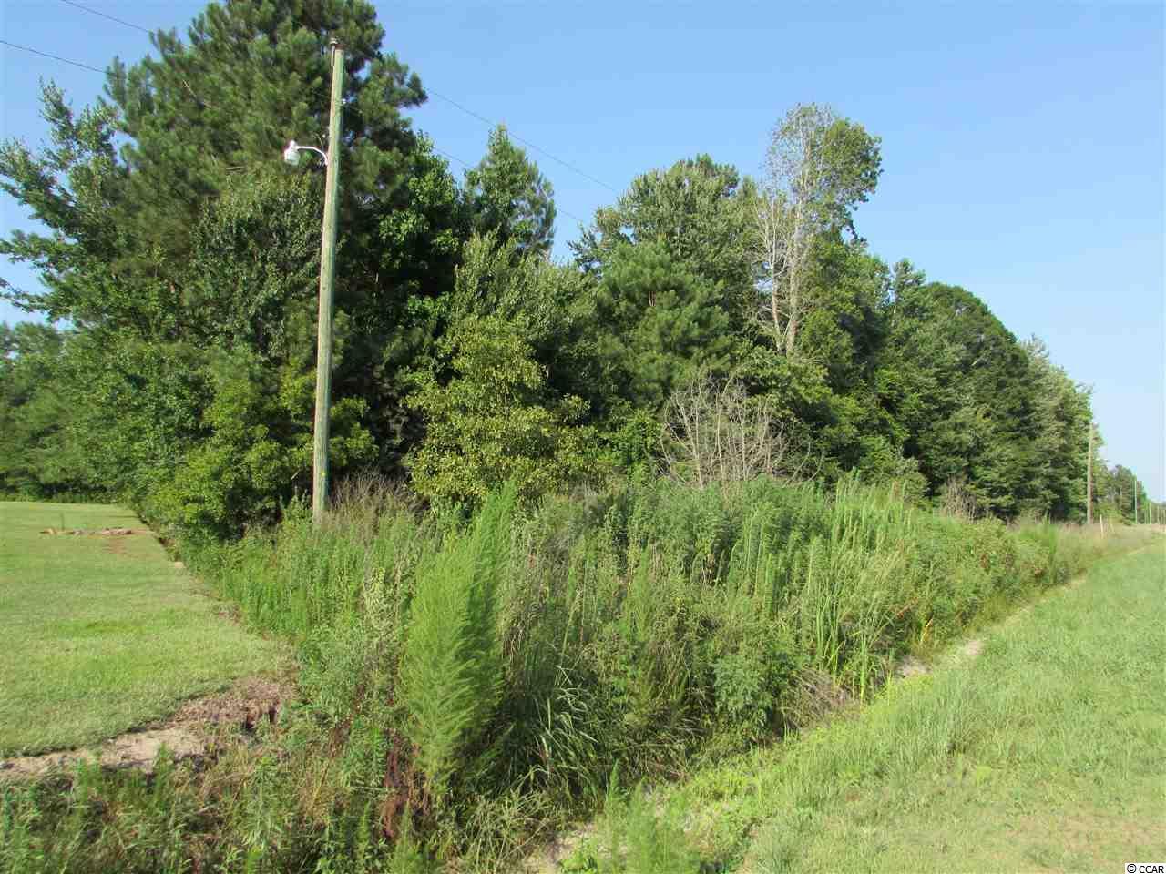 2829 Bertie Rd. - Photo 1