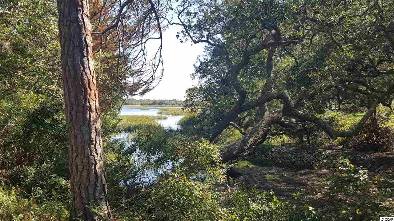 202/204 Shoreline Dr. E - Photo 1