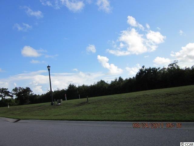 Lot 155 Tarpon Pond Rd. - Photo 1