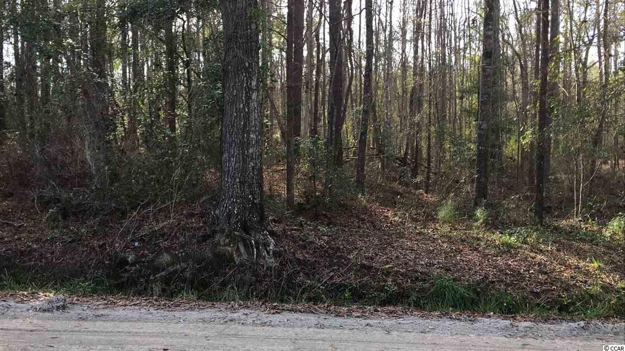 1.8 Acres Bunyan Ln. - Photo 1