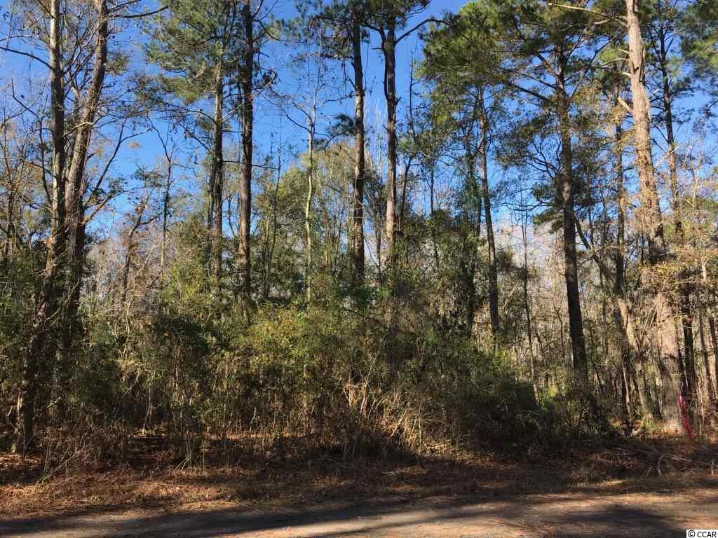 180 Fern Creek Ct. - Photo 1