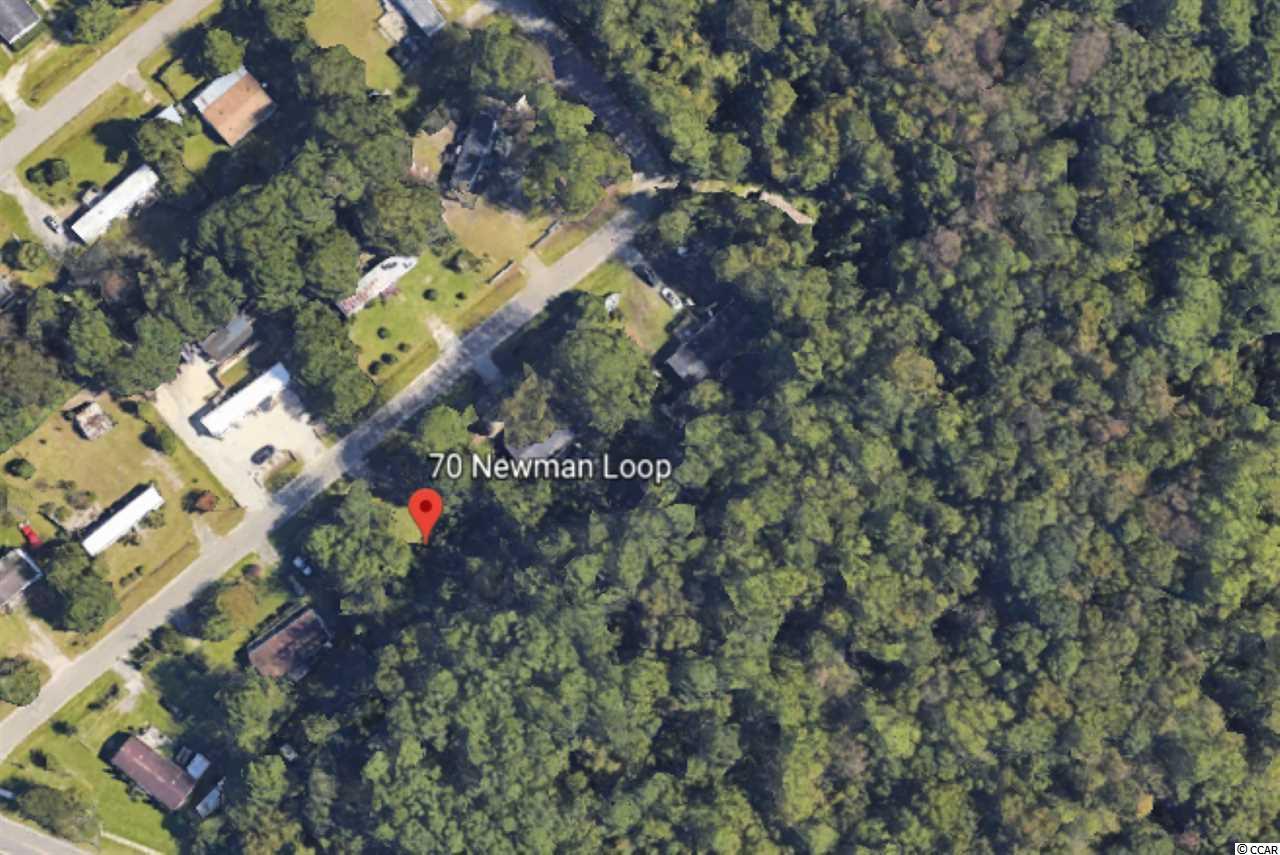 70 Newman Loop - Photo 1