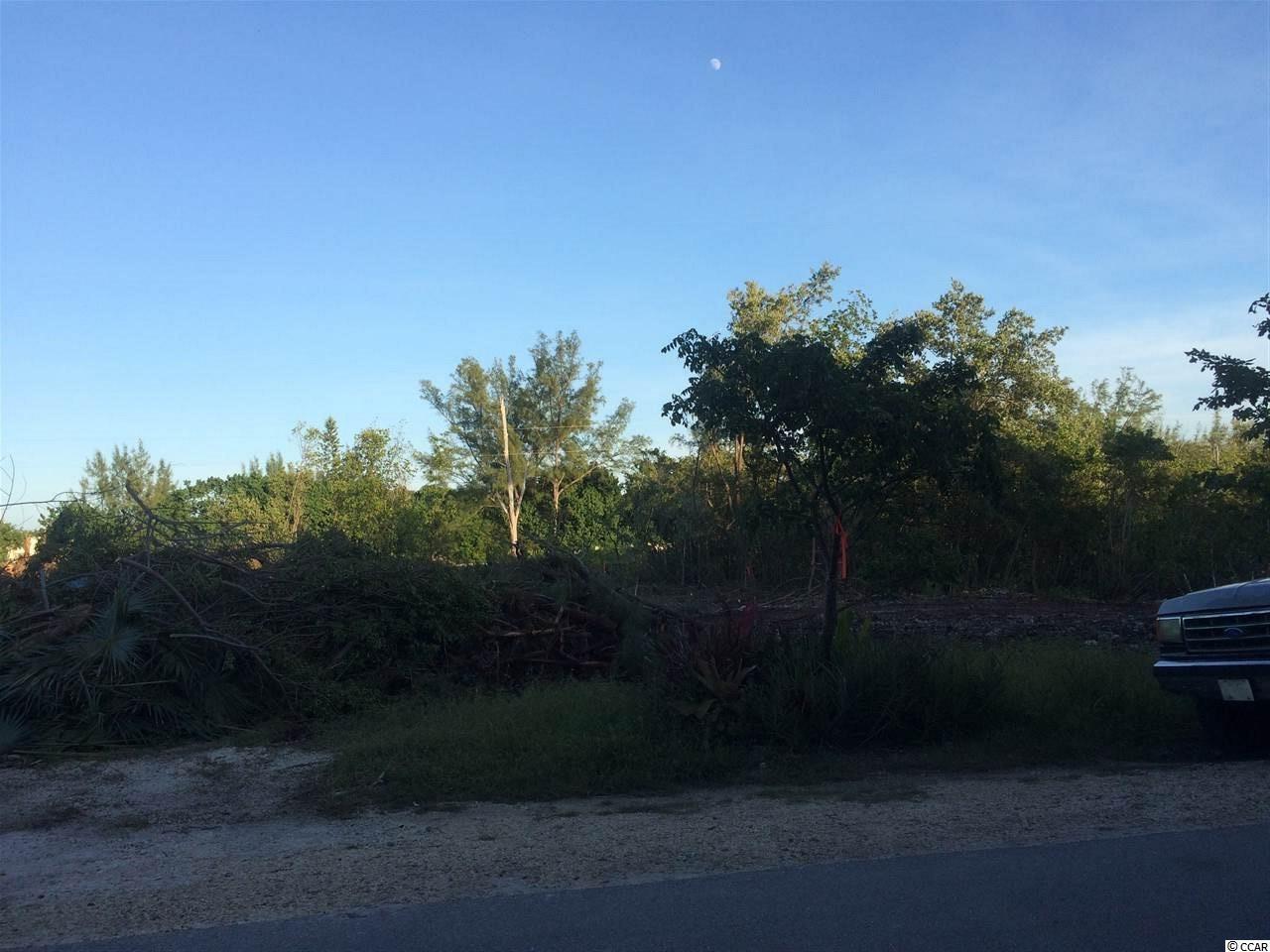 Lot 27 Low Country Loop - Photo 1
