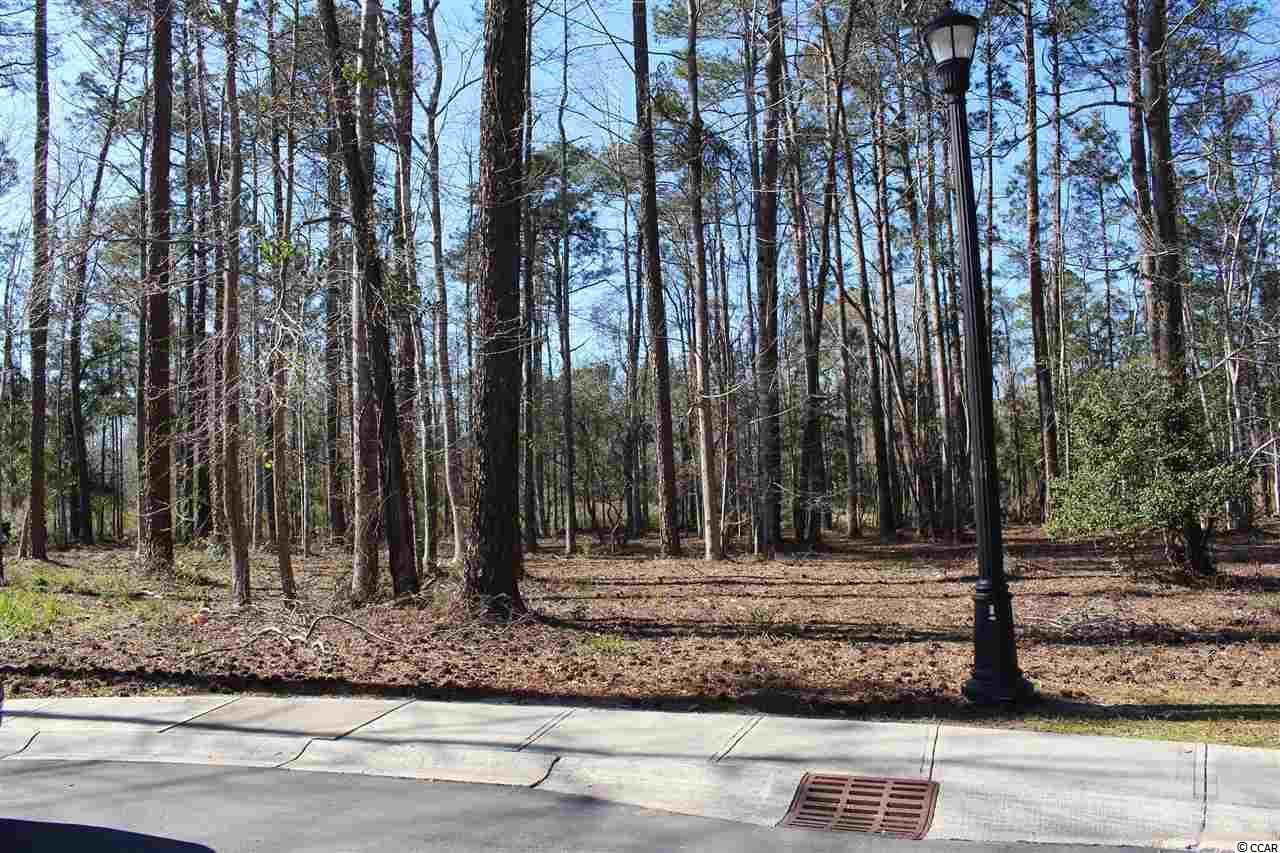 Lot 363 Mcleod Ln. - Photo 1