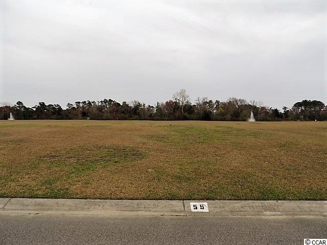 190 Palmetto Harbour Dr. - Photo 1