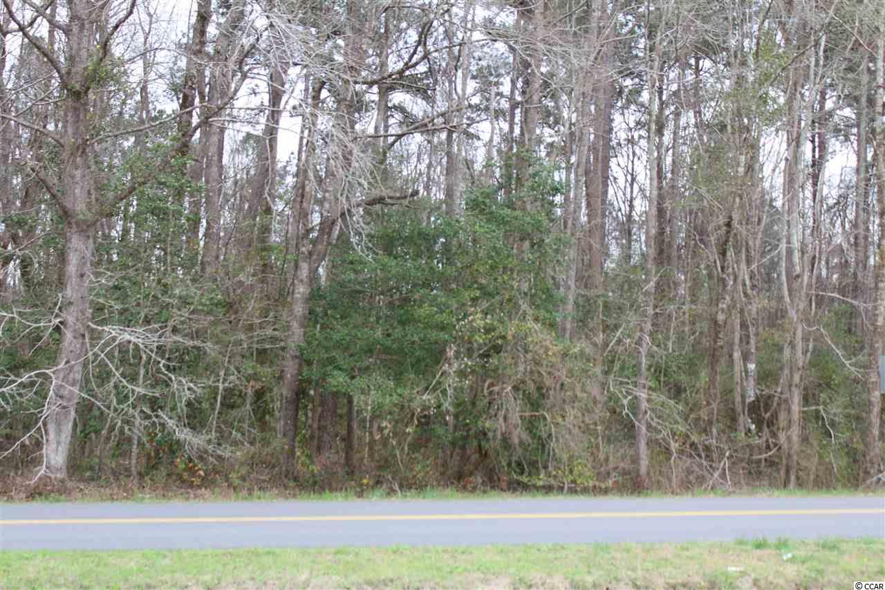 TBN Highway 668 - Photo 1