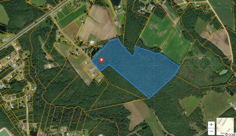 tbd Lily Ln. - Photo 1