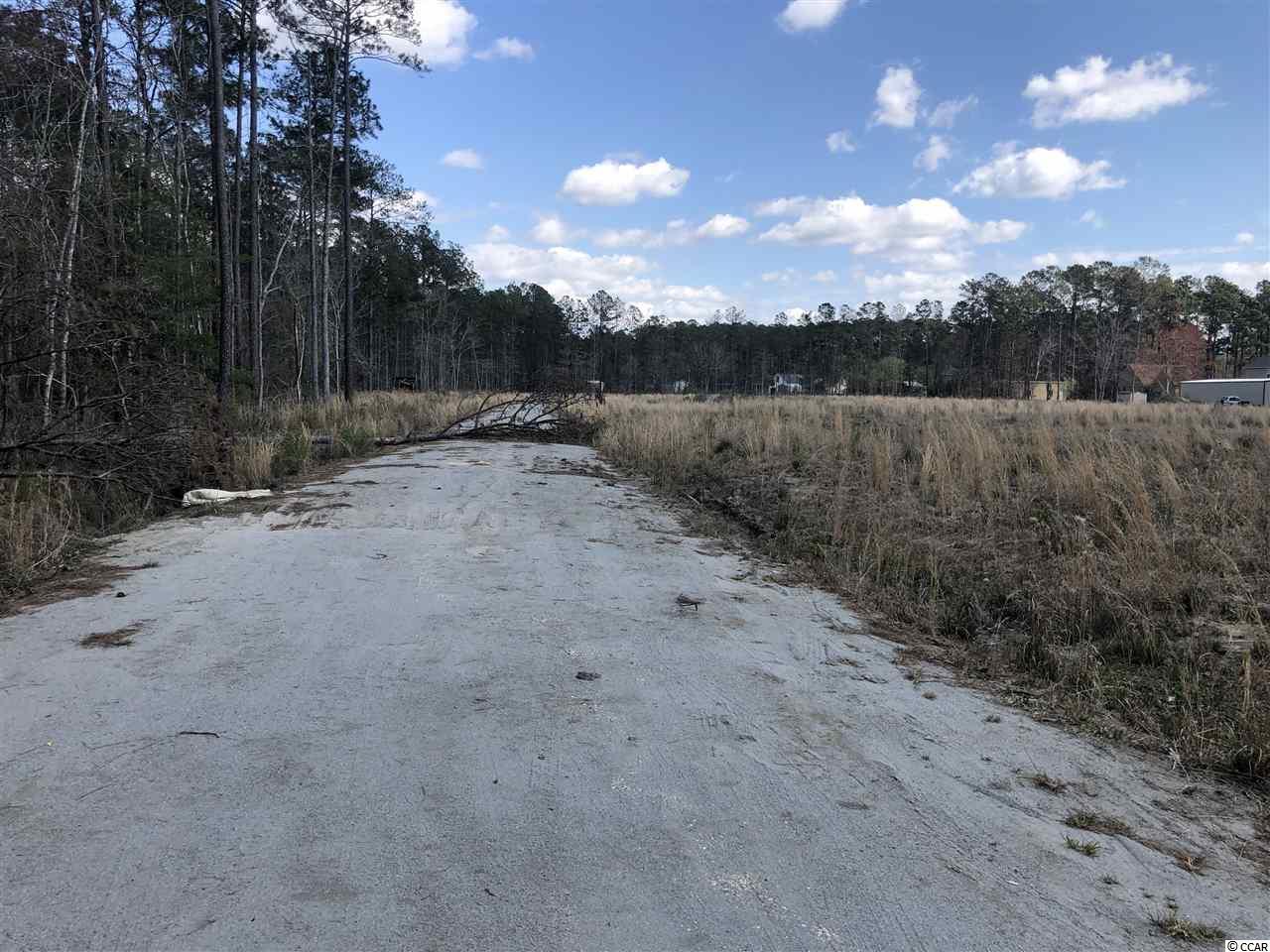 3007 Highway 50 - Photo 1