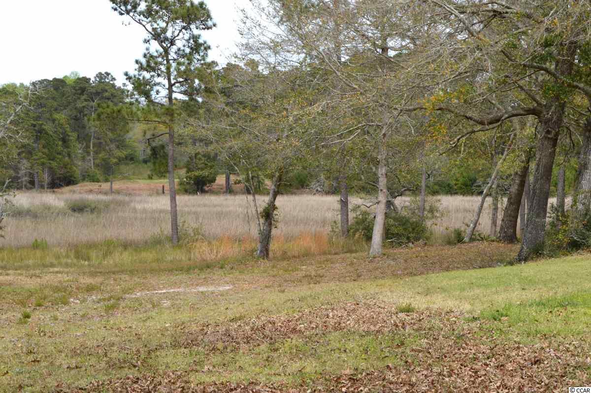2261 Spanish Moss Ct. - Photo 1