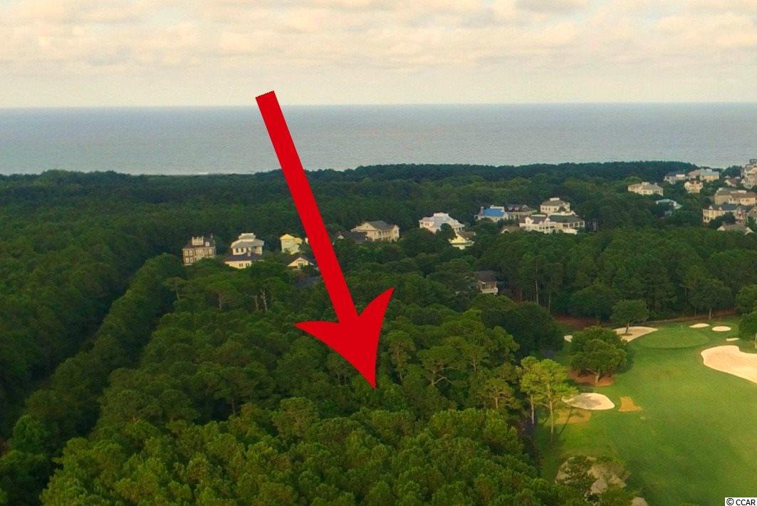 Lot 320 Wallace Pate Dr. - Photo 1